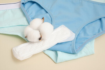 women's comfortable panties, pad and cotton flower, feminine hygiene products made of natural...