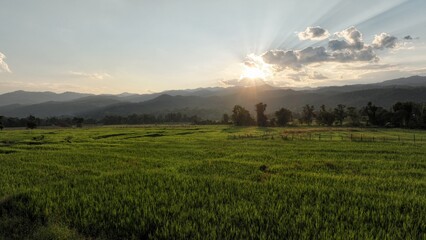 Aerial view of terraced agriculture field among greenery mountains with the blue cloudy and sunlight in the northern of Thailand, Omkoi district, Chiang Mai.