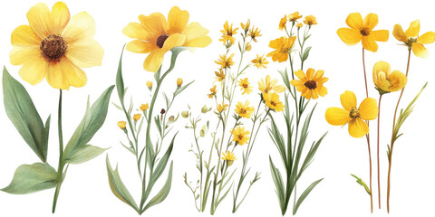 Yellow flowers in a grouping