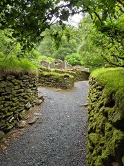 Glendalough, Ireland, in summer. Lush green foliage and ancient monastic remains in the wilderness