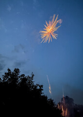 Large, gold, brocade firework exploding high above a neighborhood