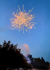 Bright gold and silver brocade firework exploding in neighborhood