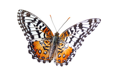 Naklejka premium Close-up of a butterfly with intricate patterns of black, white, and orange