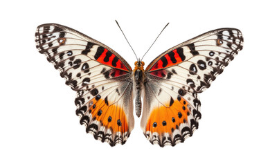 Naklejka premium Close-up of a butterfly with intricate patterns of white, black, and orange/red