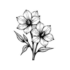 Elegant botanical illustration showcasing delicate floral design, perfect for vintage style invitations and natural beauty themed projects