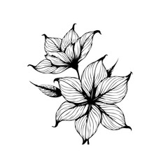 Elegant floral illustration displaying delicate flowers with meticulously detailed petals and artful linework in black and white