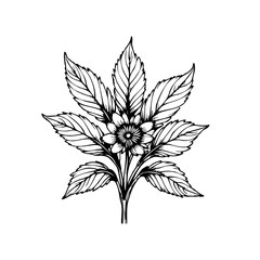 Elegant botanical illustration featuring a delicate flower and leaves creating a stunning graphic element for design projects