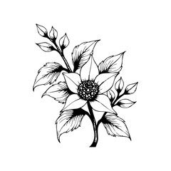 Delicate floral drawing showcasing intricate details of petals leaves stem artistic presentation of botanical beauty