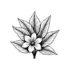 Elegant flower illustration with intricate leaf details showcasing floral design and botanical drawing art