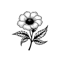 Elegant floral botanical illustration featuring a detailed hibiscus flower with leaves for decorative design projects vector