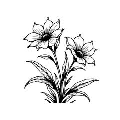 Elegant hand drawn floral vector design featuring blooming flowers and intricate leaf patterns for creative botanical illustrations