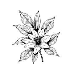 Elegant floral drawing featuring a blooming flower surrounded by detailed leaves creating a natural illustration
