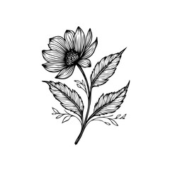 Elegant floral line art illustration showcasing a blooming flower with detailed petals and leaves vector graphics