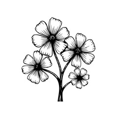 Elegant floral illustration displaying detailed outlines of blooming flowers on a plant branch design