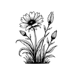 Delicate floral illustration showcasing a blooming flower with surrounding buds and leaves in monochrome