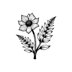 Elegant black and white floral vector illustration featuring a sunflower and fern leaves artistic composition
