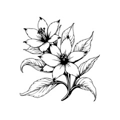 Elegant floral line art illustration featuring blossoming flowers with delicate petals and gracefully curving leaves design