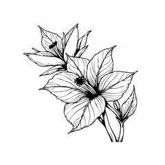 Elegant botanical illustration showcasing intricate floral details and artistic simplicity in a monochromatic scheme providing design flexibility