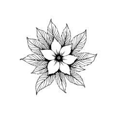 A gracefully drawn botanical illustration showcasing a symmetrical flower surrounded by pointed leaves in a monochromatic palette art