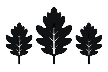 Vibrant autumn maple and oak leaves, trees, and vector illustrations capture the colorful essence of the fall season in nature