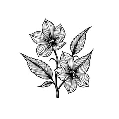 Botanical elegance flower art vector illustration with delicate line work and classic design providing timeless beauty