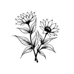 Elegant floral vector illustration featuring botanical line art of blooming daisies and leaves for minimalistic designs