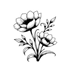 Elegant floral drawing featuring blossom blooms and leaf botanical illustration design, beautiful flower in minimalist style with graceful composition