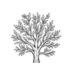 Elegant tree illustration showcasing intricate branch structure and delicate leaf arrangement providing visual natural art concept