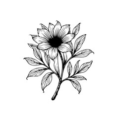 Elegant floral line art illustration depicting a blooming flower with intricate details and graceful leaves showing botanical beauty