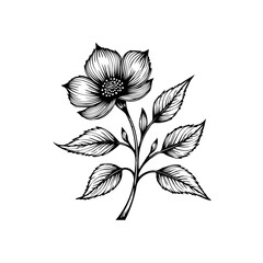 Elegant floral illustration showcasing a single flower with intricately detailed petals and delicate foliage elements drawing