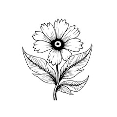 Elegant hand drawn botanical illustration of a flower, showcasing delicate petals and detailed leaves in black ink line art