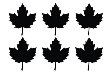 A vibrant vector illustration of isolated autumn maple leaves in various colors, perfect for fall season designs