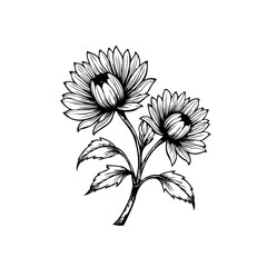 Elegant floral drawing showcasing botanical illustration with intricate details black and white line work