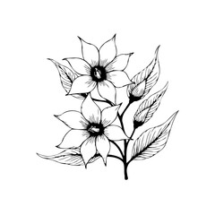 Elegant floral arrangement featuring delicate flowers and leaves depicted in a monochrome drawing style art illustration