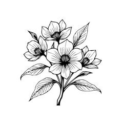 Elegant floral botanical illustration showcasing intricate flower drawing with graceful stem and delicate leaves design