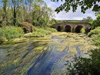 Old stone bridge over river surrounded by lush green foliage