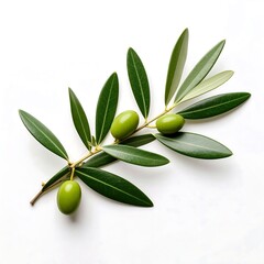 Olive branch with green olives and leaves on black background fresh healthy organic nature.