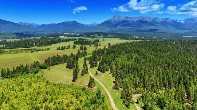 Wild nature of Slovakia on sunny summer day. Drone flight above the valley with the view on the Tatra Mountains.