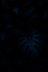 Obraz premium Nature's Hidden Beauty in a Shadowy Environment