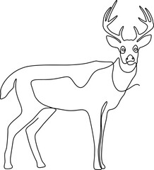 reindeer line art one line