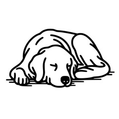 Golden Retriever dog sleeping