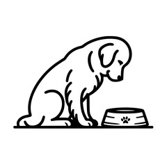 Golden Retriever dog eating 