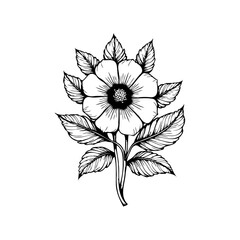 Elegant botanical illustration featuring a detailed flower with leaves and stem in black and white coloring design drawing sketch