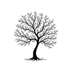 Obraz premium Elegant black tree silhouette illustration on white background representing nature's beauty with organic shapes and artistic design