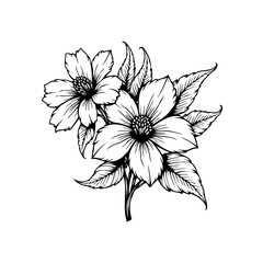 Elegant floral sketch showcases delicate blossoms and leaves in a detailed black and white illustration art, perfect for vintage design