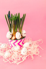 Colorful spring plant arrangement with decorative eggs on a pink background