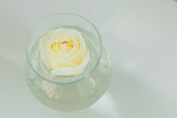 Beautiful white rose floating in clear water in a round glass vase