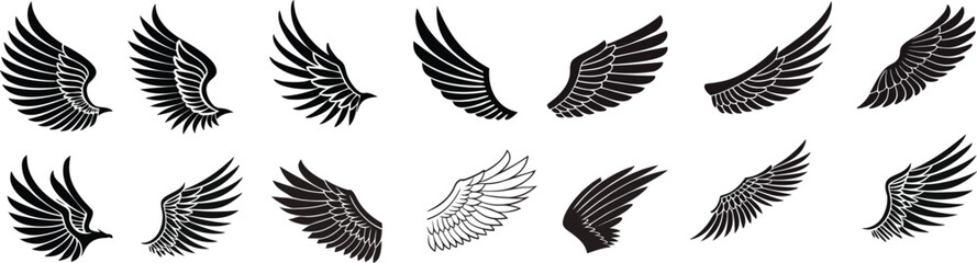 Elegant Bird Wings Illustration A Symbol of Freedom Flight and Spirituality
