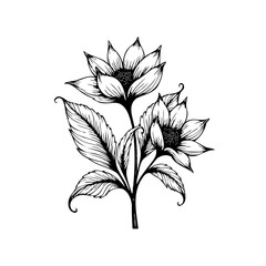 Elegant floral line art illustration featuring delicate blooms and leaves, a beautiful botanical artwork displaying nature's serene allure