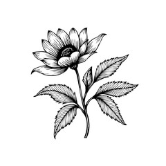 Elegant monochrome floral illustration showcasing intricate line work of a blooming flower with leaves in detailed style